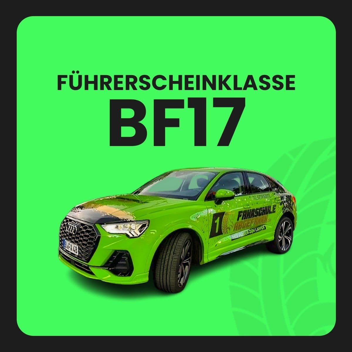 Begleitetes Fahren BF17 Fahrschulauto